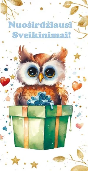 Sveikinimo atvirukas su akvarelinio stiliaus pelėdžiuku ant žalios dovanų dėžės ir užrašu „Nuoširdžiausi Sveikinimai"